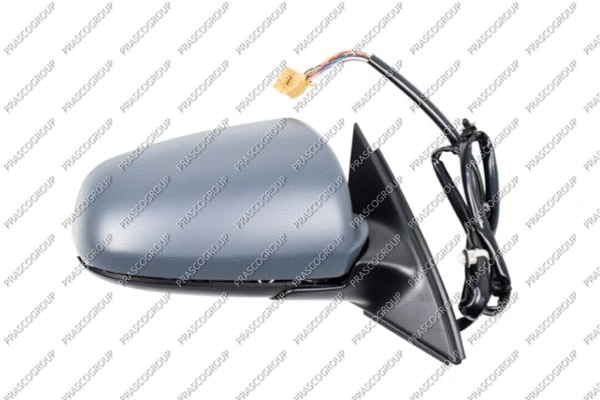 Exterior Mirror (AD0227384P)