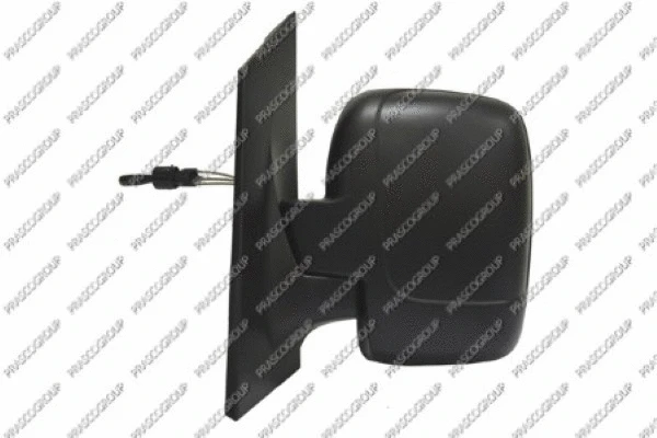 Exterior Mirror (FT9237004)