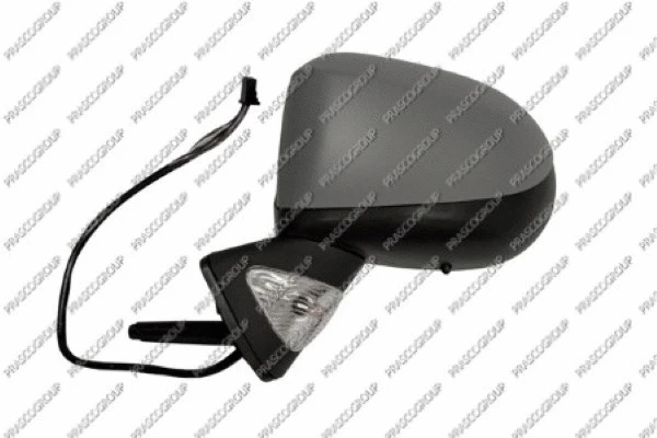 Exterior Mirror (RN3107344)