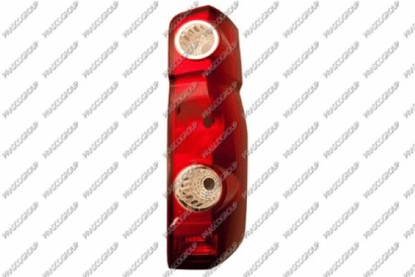 Tail Light Assembly (VG9524153)