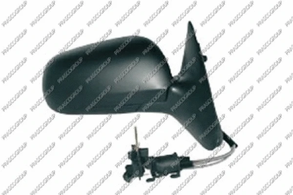 Exterior Mirror (SK0207113)