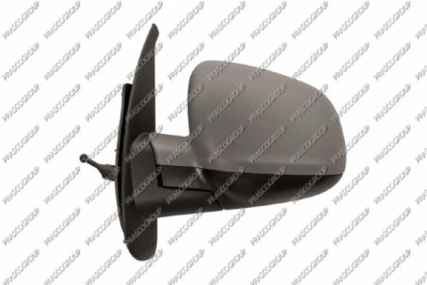Exterior Mirror (RN9217014)