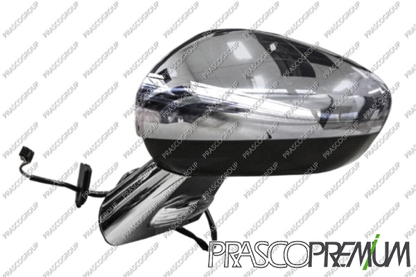 Exterior Mirror (CI3247344)