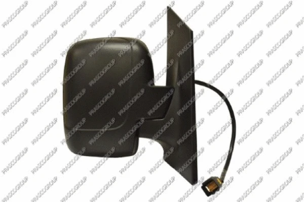 Exterior Mirror (FT9237013)