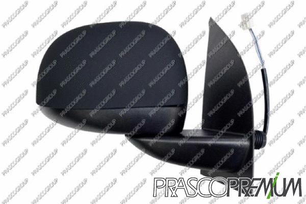 Exterior Mirror (FT1237123P)