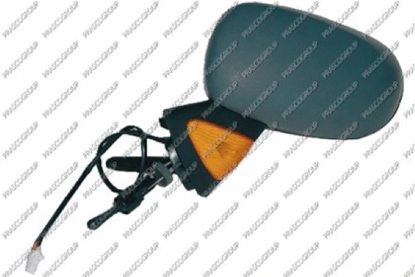 Exterior Mirror (RN3087124P)