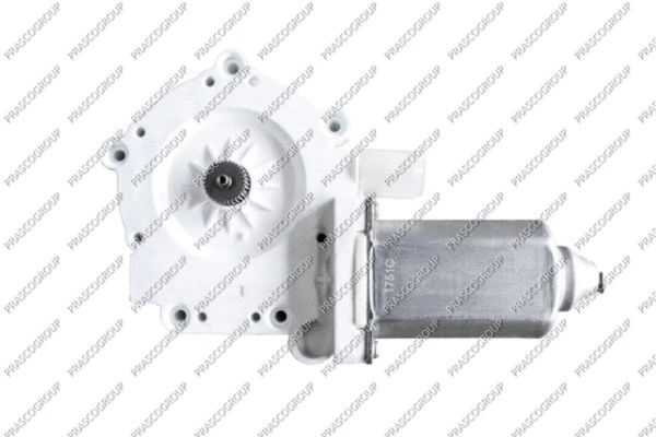 Electric Motor, window regulator (MN304W901)