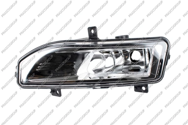 Front Fog Light (DS7134413)