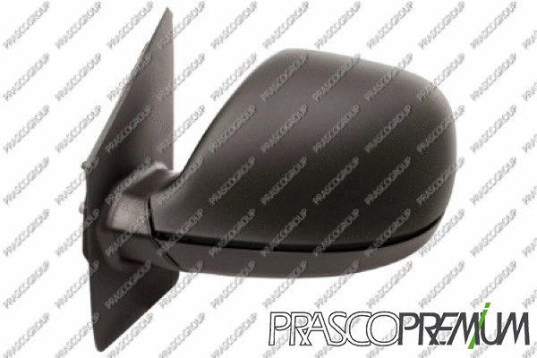 Exterior Mirror (VG9197314P)