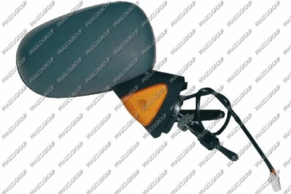 Exterior Mirror (RN3087123)