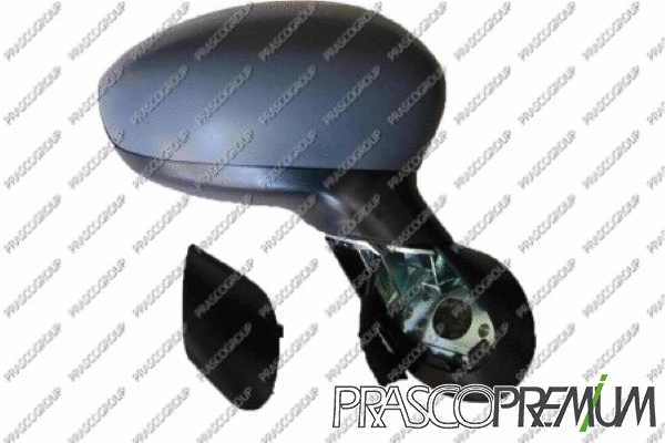 Exterior Mirror (FT0307123P)