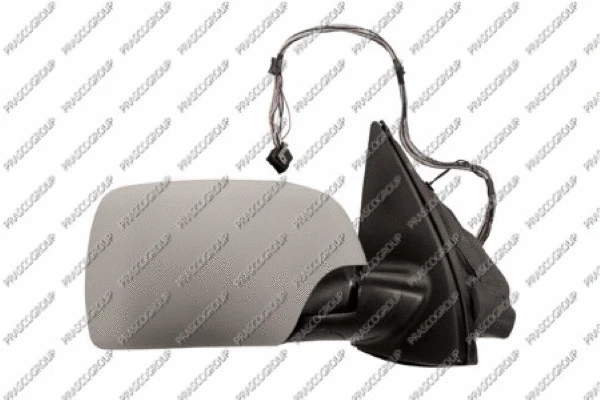 Exterior Mirror (BM8207333)