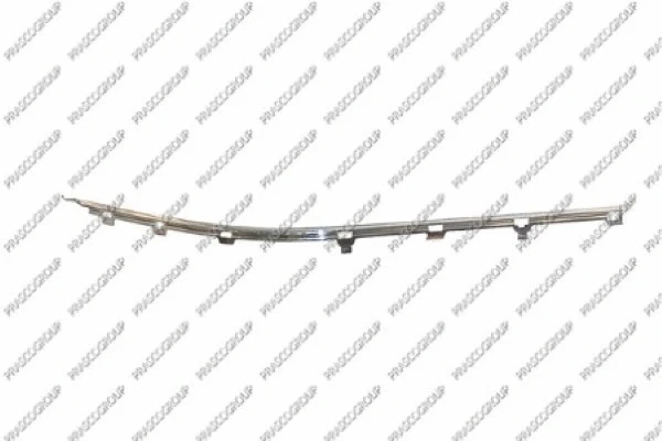 Trim/Protection Strip, bumper (BM0441248)