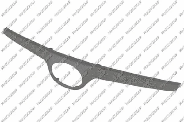 Trim/Protection Strip, radiator grille (HN2002206OE)