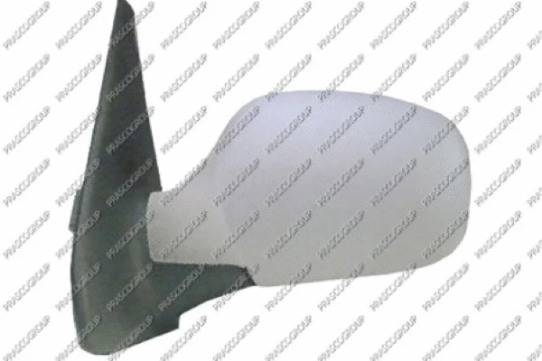 Exterior Mirror (RN3227324P)