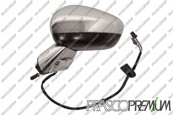 Exterior Mirror (CI3247354)