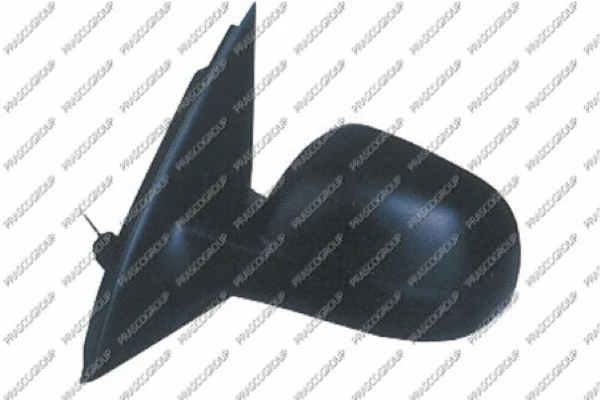 Exterior Mirror (VG3207114)