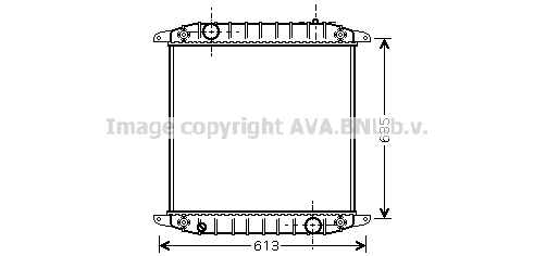 Radiator, engine cooling (IV2078)