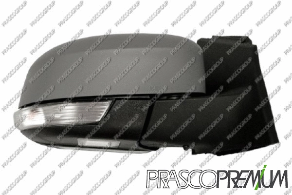 Exterior Mirror (FD4287333P)