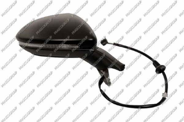 Exterior Mirror (VG4007311P)