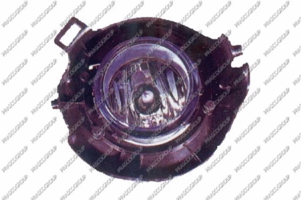 Front Fog Light (DS8144413)