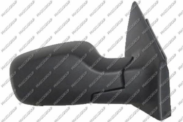Exterior Mirror (RN3257313)