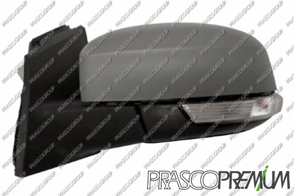 Exterior Mirror (FD4287324P)