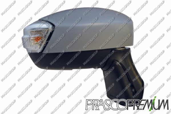 Exterior Mirror (FD8027313P)