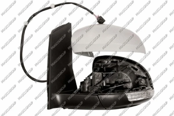 Exterior Mirror (VG1017314)