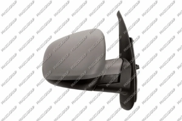 Exterior Mirror (RN9217323)