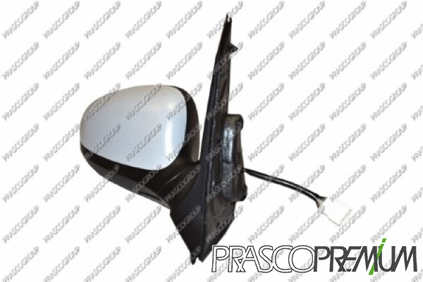 Exterior Mirror (FD0087313P)
