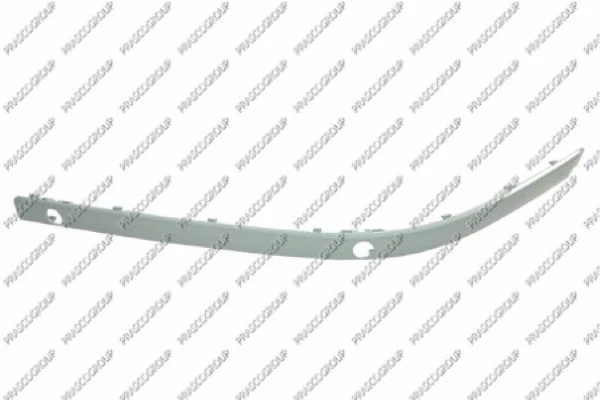 Trim/Protection Strip, bumper (BM0451239)