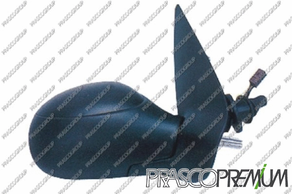 Exterior Mirror (PG0097113P)