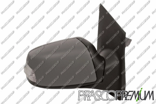 Exterior Mirror (FD4247343P)