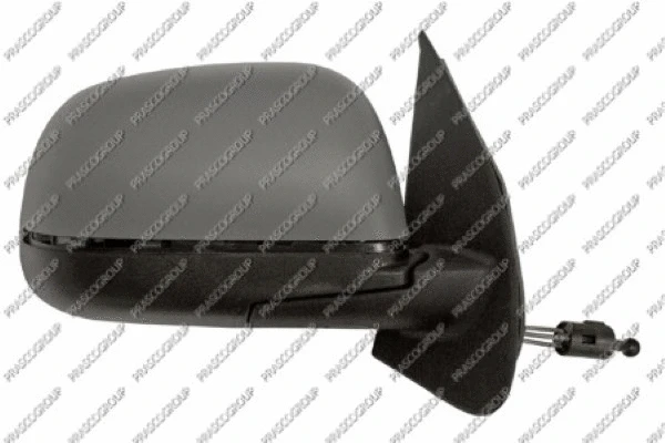 Exterior Mirror (DS0147113)