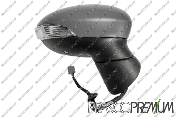 Exterior Mirror (FD3467343P)