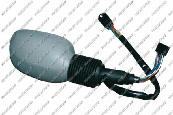 Exterior Mirror (FD0067313)