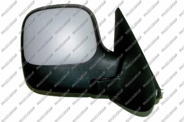 Exterior Mirror (PG9047143)