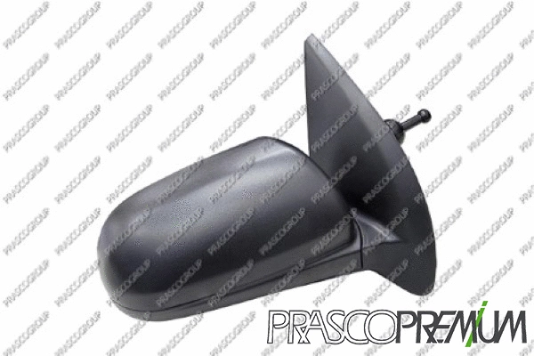 Exterior Mirror (DW3277103P)