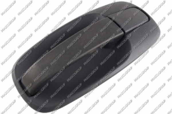 Exterior Door Handle (OP9328001)