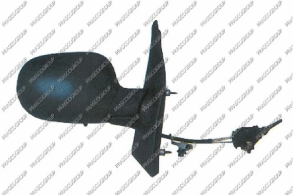 Exterior Mirror (RN0307113)