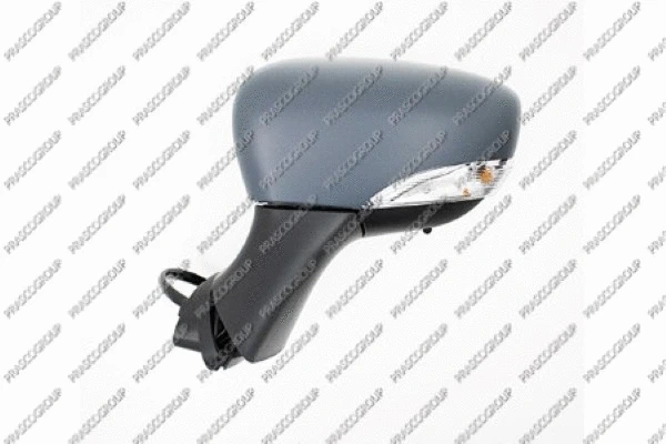 Exterior Mirror (RN3297314P)