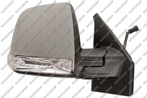 Exterior Mirror (FT9107123)