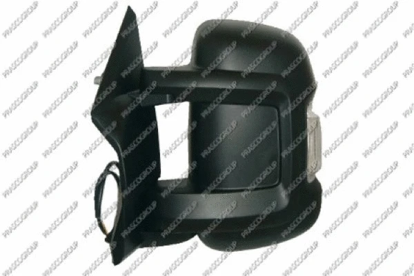 Exterior Mirror (FT9307305)