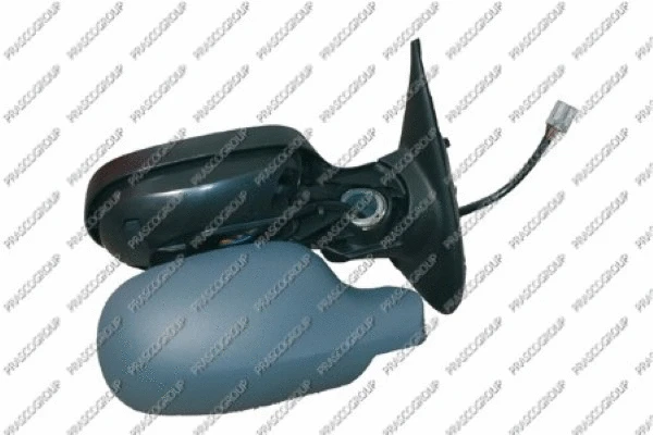 Exterior Mirror (DS0117324)