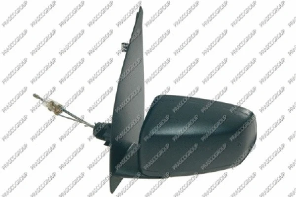 Exterior Mirror (FT1227314)