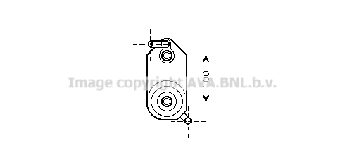Oil Cooler, automatic transmission (VN3110)