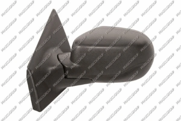 Exterior Mirror (RN3277304)
