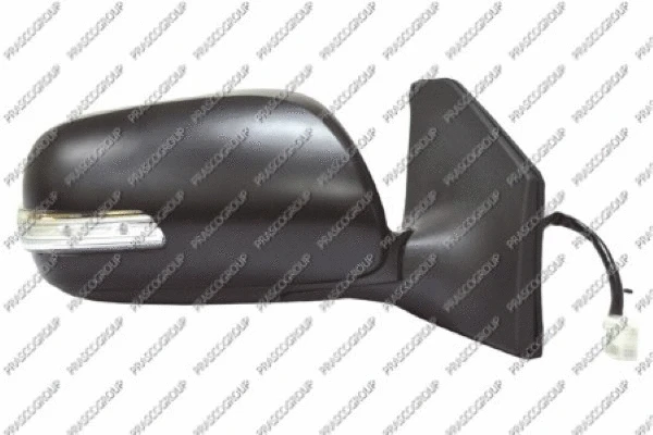 Exterior Mirror (TY2447363)