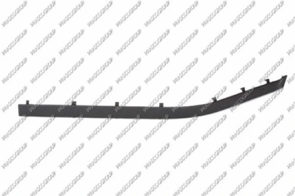 Trim/Protection Strip, bumper (BM0441246)